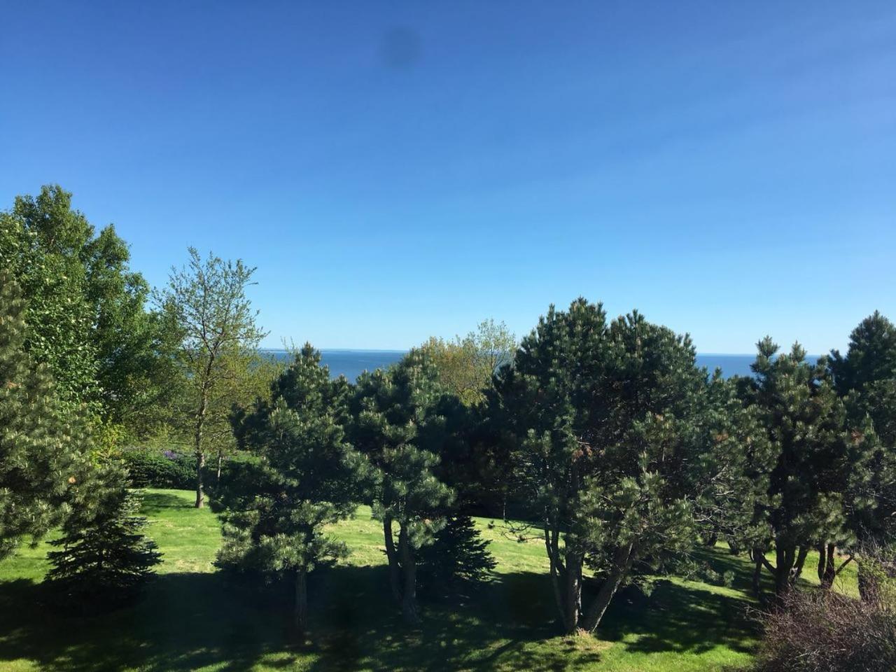 Seaview White House Bed & Breakfast Stratford Екстериор снимка